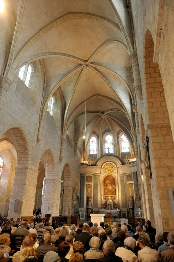 Nom de l'image : D30099574_1_(c)Norbert-JUNG — Description :